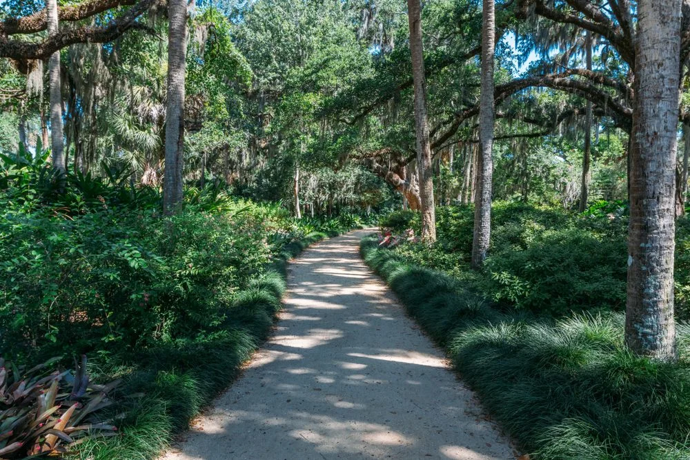 Walking,Path,In,Washington,Oaks,Gardens,State,Park,In,Palm